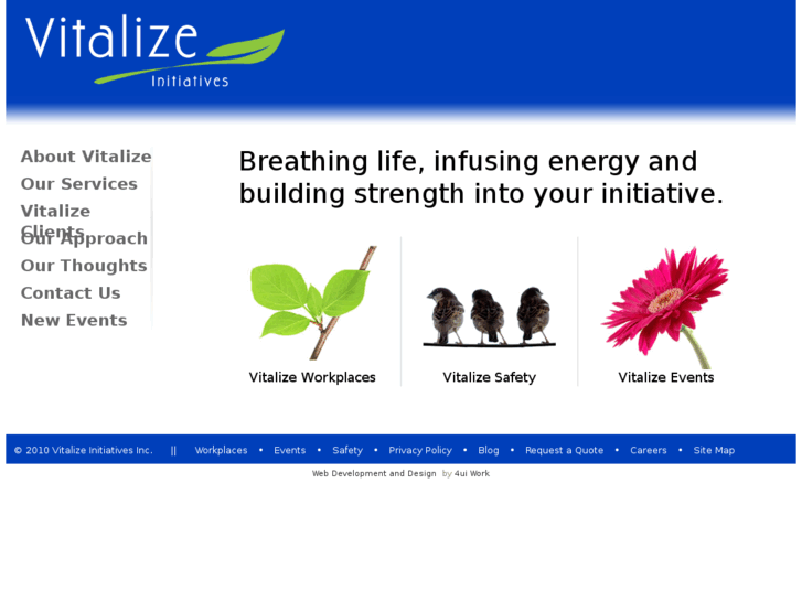 www.vitalizeinitiatives.com