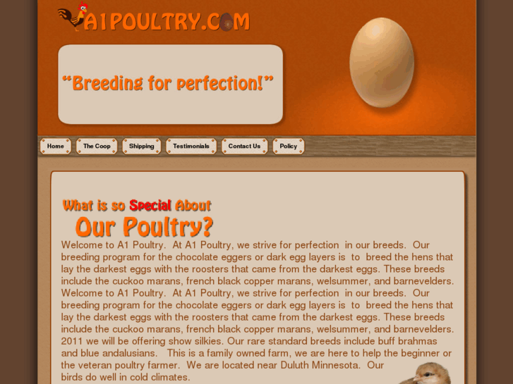 www.a1poultry.com