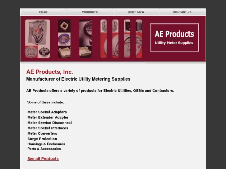 www.aeproducts.net