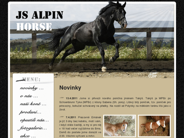 www.alpin-horse.info