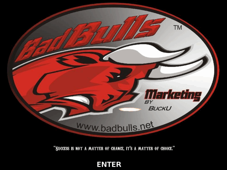 www.badbulls.net