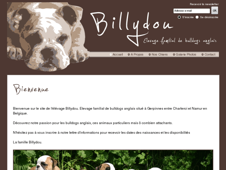 www.billydou.com