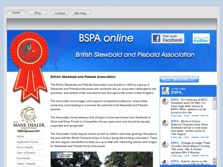 www.bspaonline.com