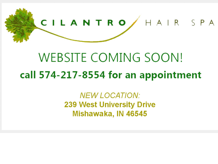 www.cilantrohairspa.com