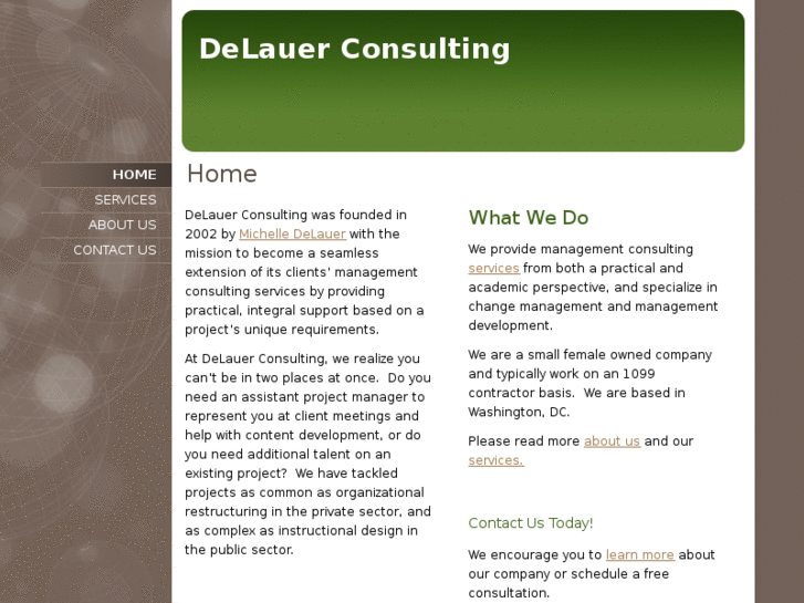 www.delauerconsulting.com