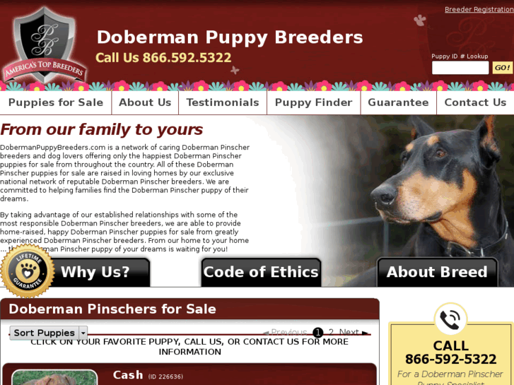 www.dobermanpuppybreeders.com