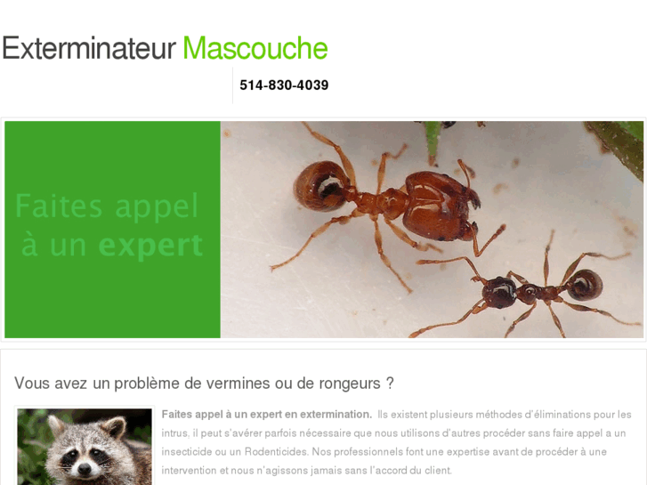 www.exterminateur-mascouche.com