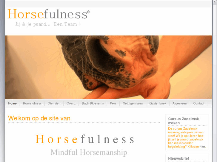 www.horsefulness.be