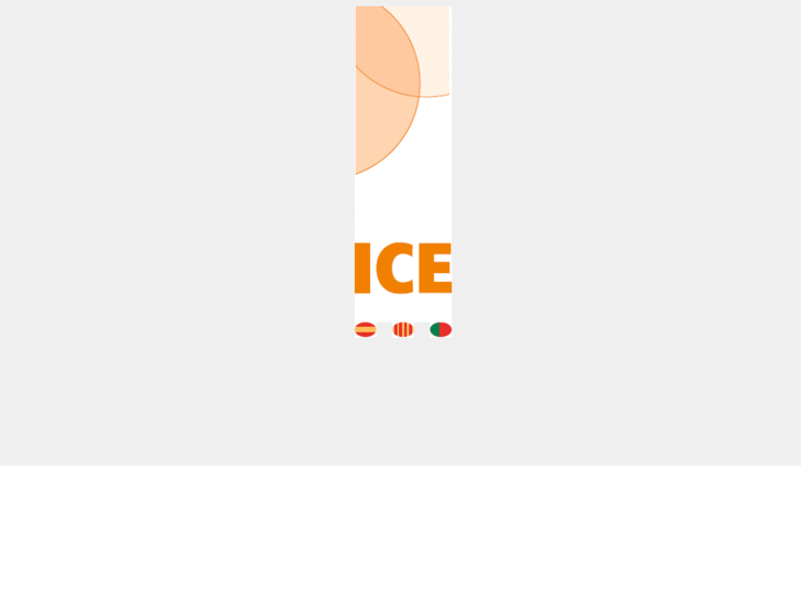 www.icechemical.com