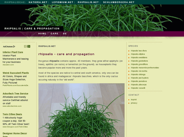 www.rhipsalis.net