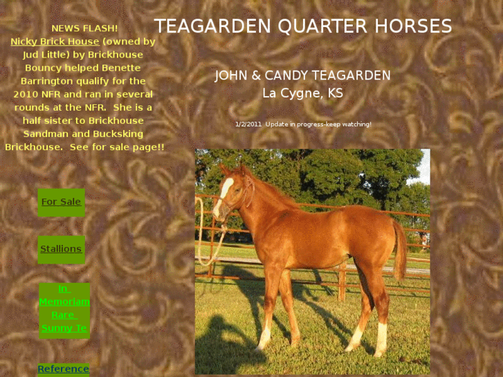 www.teagardenquarterhorses.com