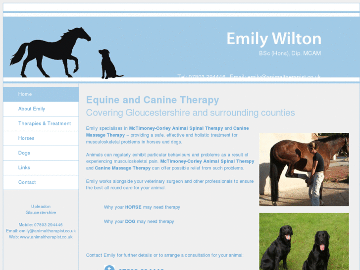 www.animaltherapist.co.uk