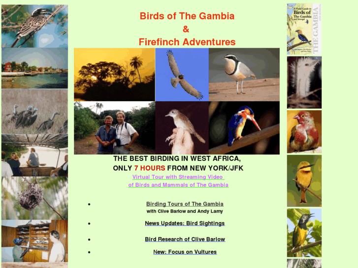 www.birdsofthegambia.com