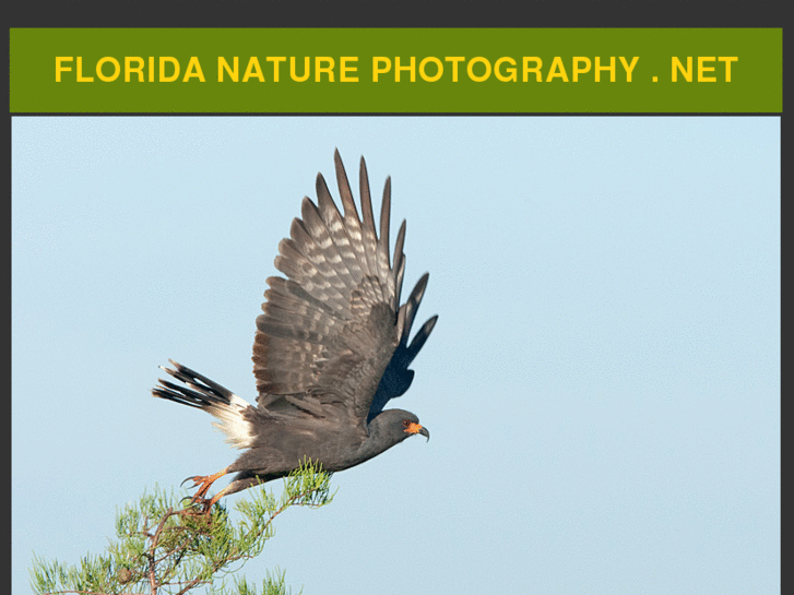 www.floridanaturephotography.net