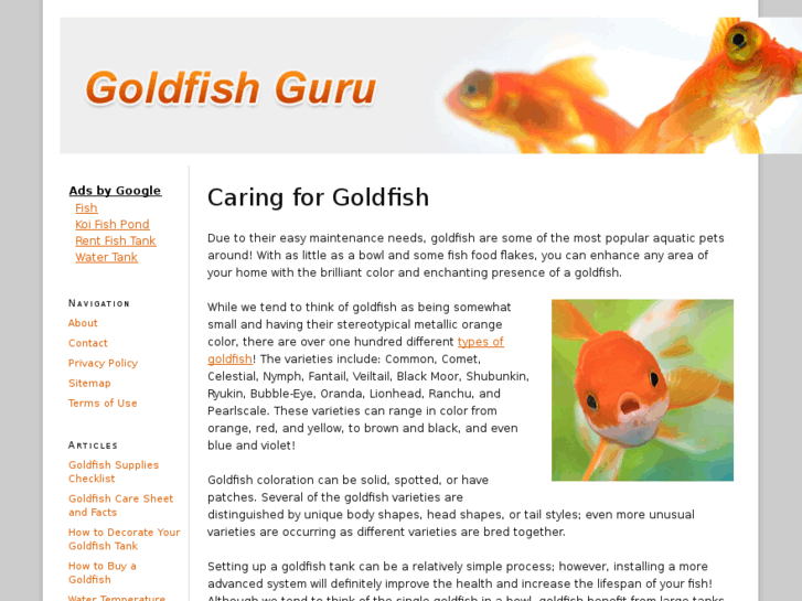 www.goldfishguru.com