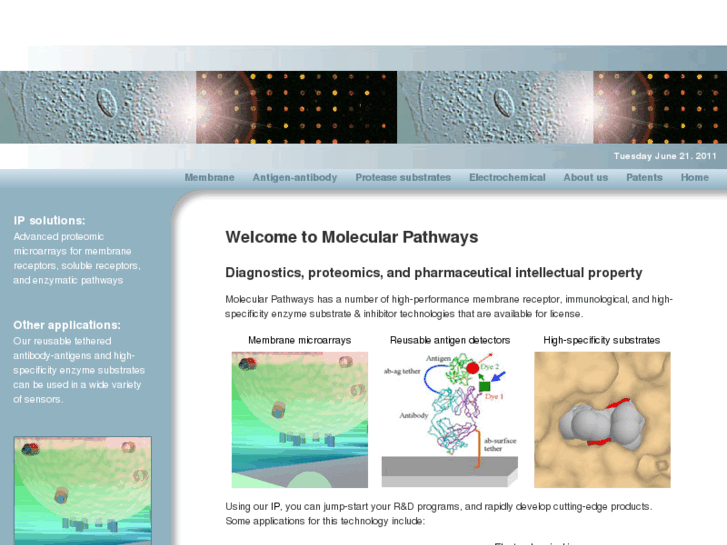 www.molecularpathways.com