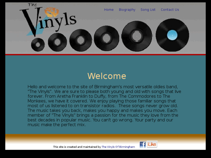 www.thevinylsband.com