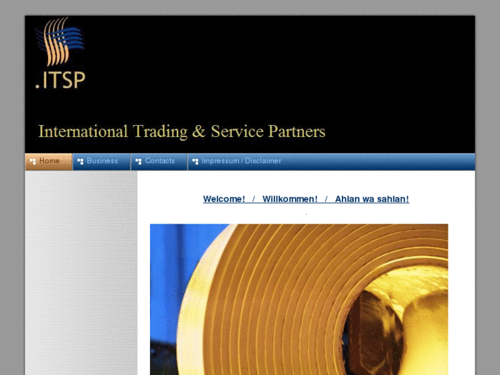 www.itandsp.com