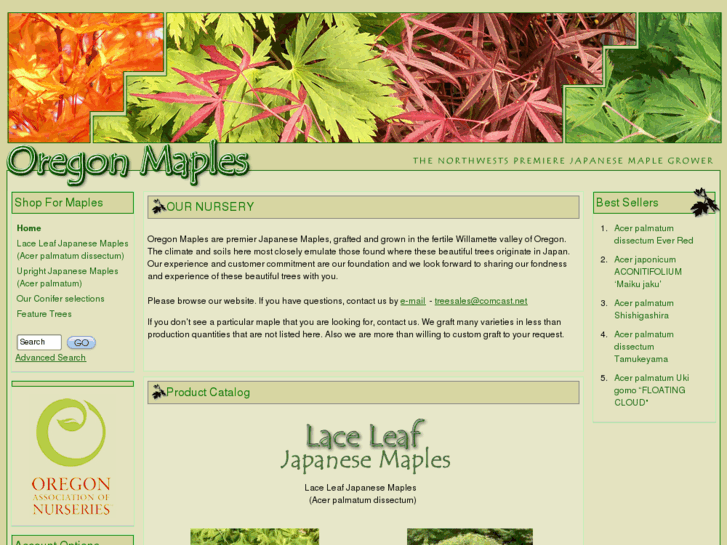 www.oregonmaples.com