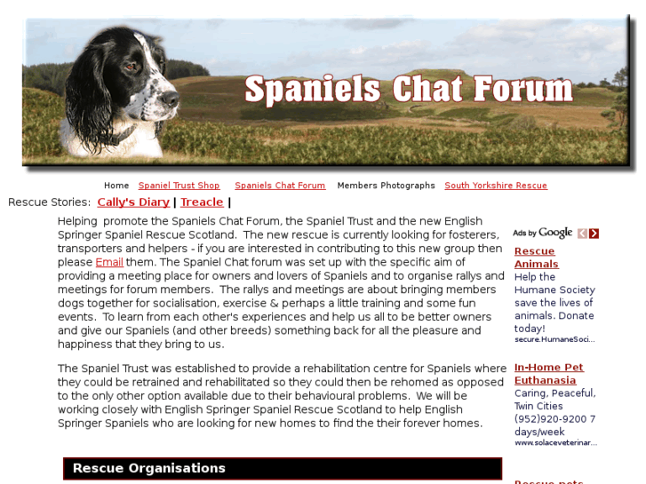 www.spaniels.org.uk