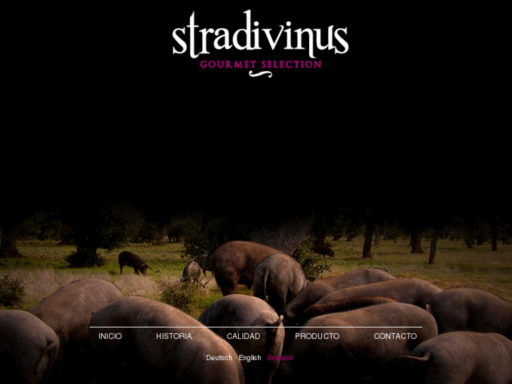 www.stradivinus.com