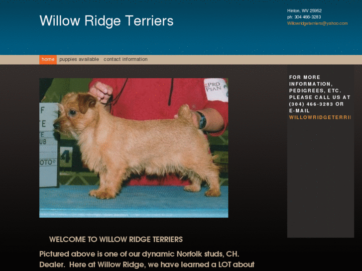 www.willowridgeterriers.com