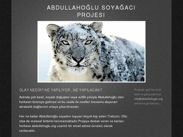 www.abdullahoglu.org