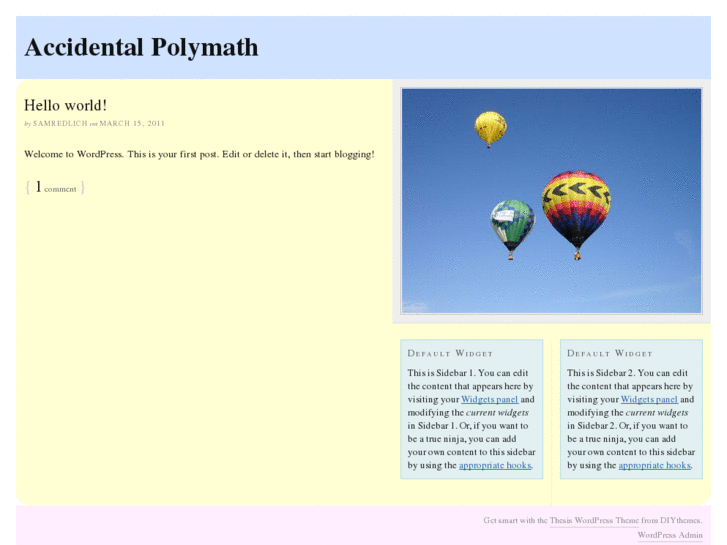 www.accidentalpolymath.com