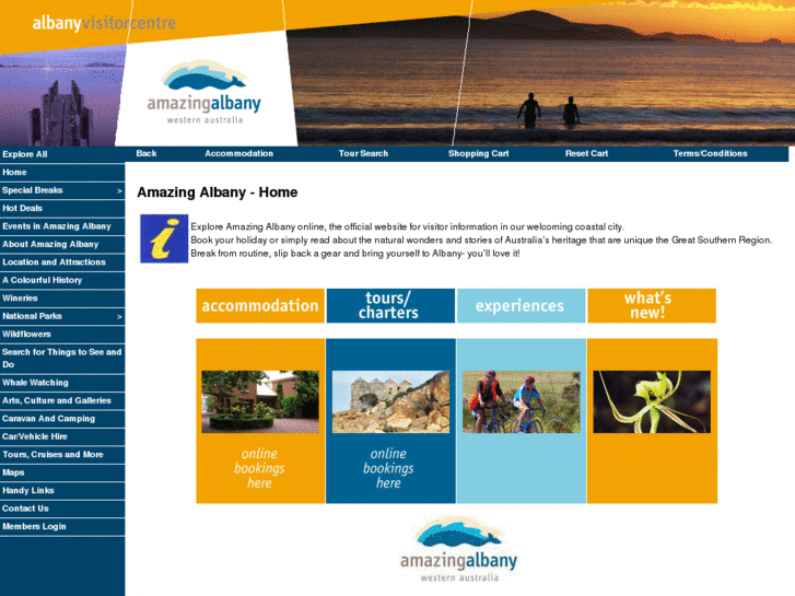 www.amazingalbany.com