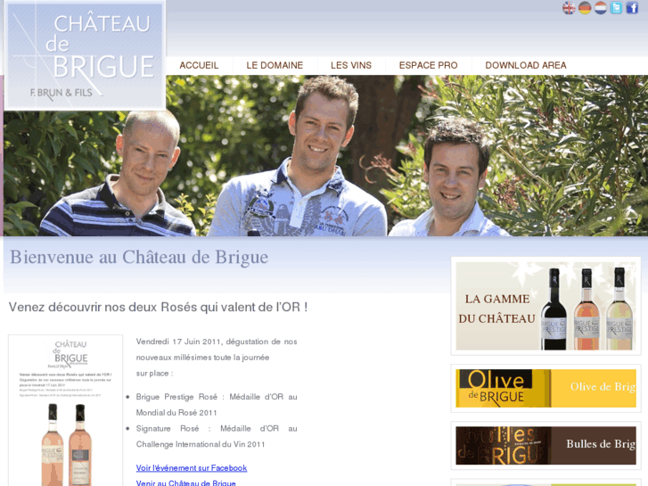 www.chateaudebrigue.com