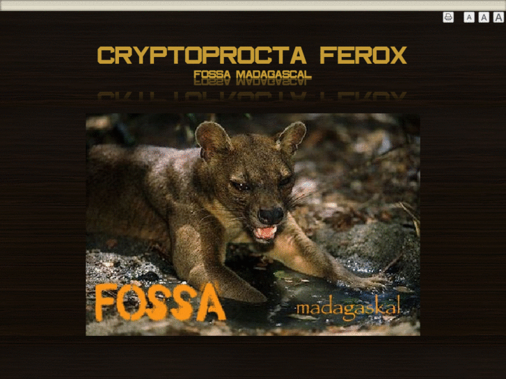 www.fossa1.com