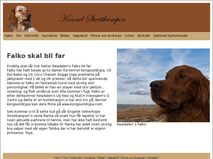 www.fuglehundsport.no