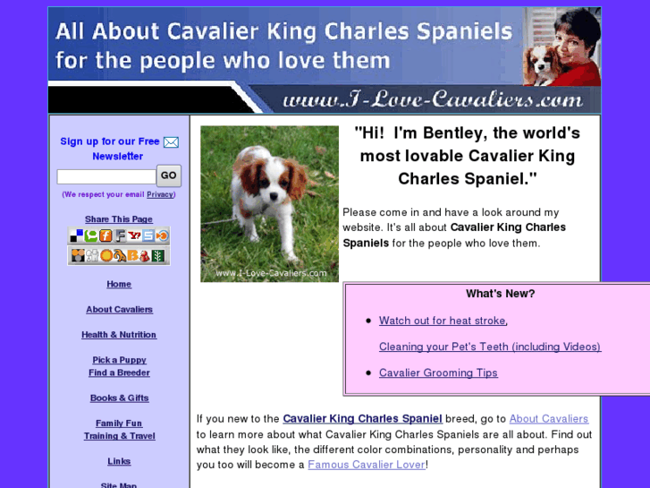 www.ilovecavaliers.com