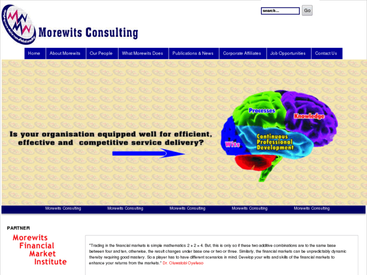 www.morewitsconsulting.com
