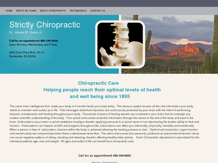 www.strictlychiropractic.com