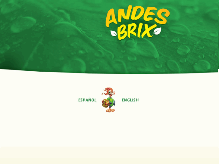 www.andesbrix.com