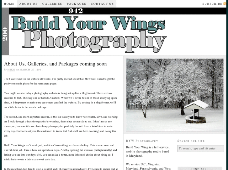 www.buildyourwingsphotography.com