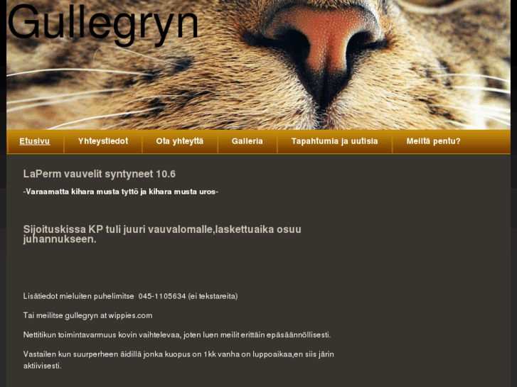 www.gullegryn.com