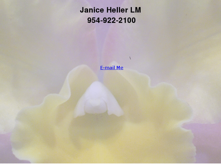 www.janiceheller.com