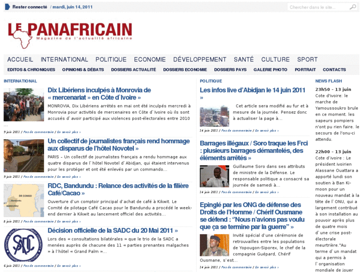 www.lepanafricain.net