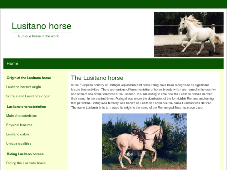 www.lusitano-horse.com