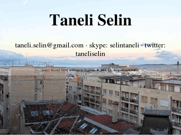 www.taneliselin.info