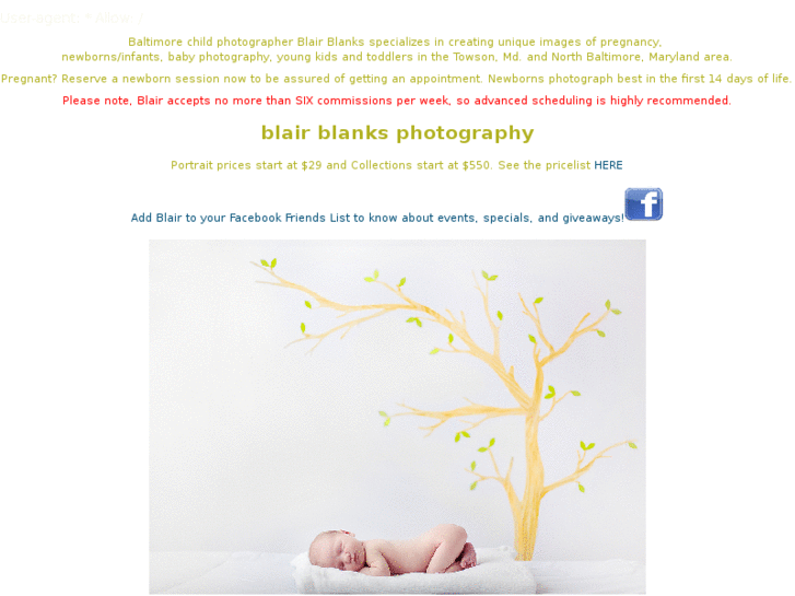 www.baltimorebabyphotographer.com