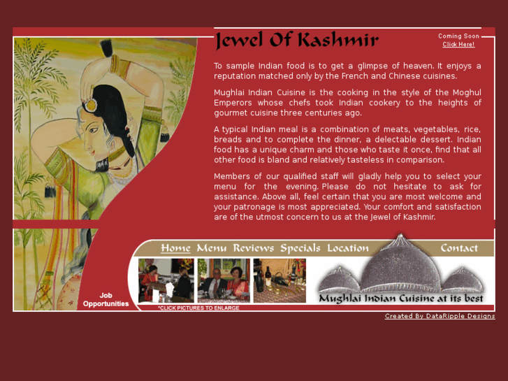 www.jewelofkashmir.com