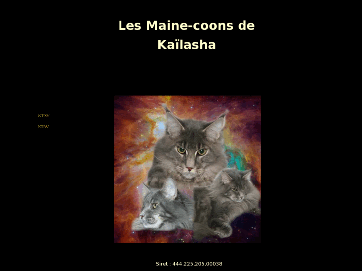 www.kailasha.com