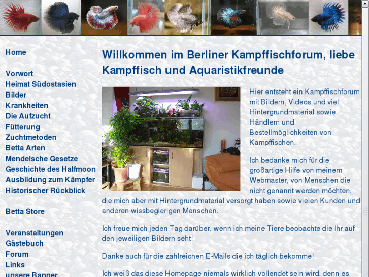 www.kampffischforum-berlin.com