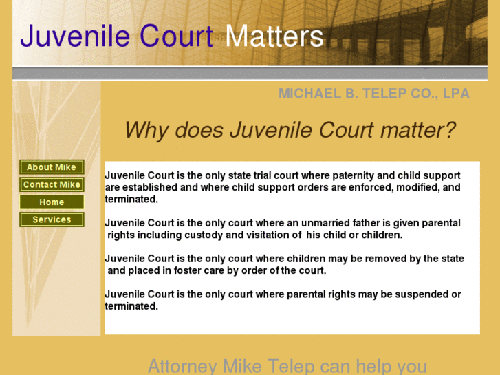 www.juvenilecourtmatters.com