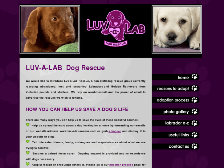 www.luv-a-lab-rescue.com