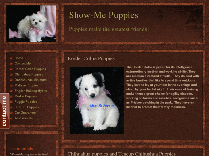 www.show-mepuppies.com