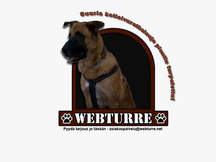 www.webturre.net